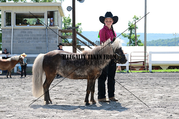 AJB_0209