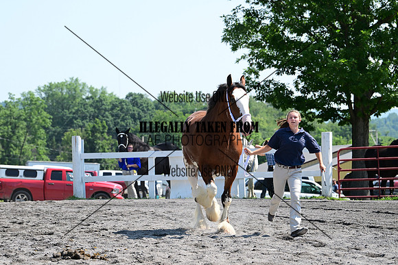AJB_0118