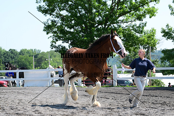 AJB_0119