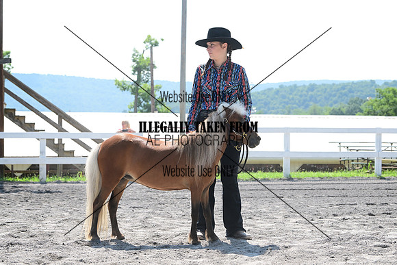 AJB_0216