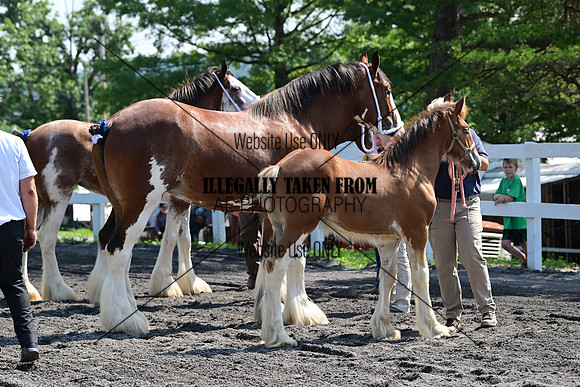 AJB_0098