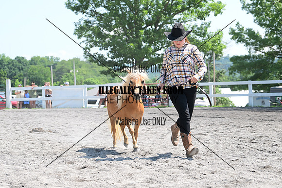 AJB_0227