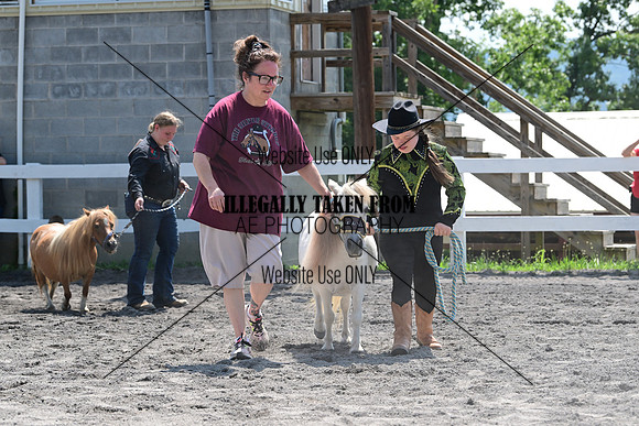 AJB_0229