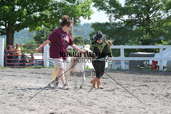 AJB_0230
