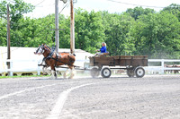 AJB_0679