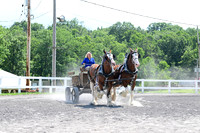 AJB_0686