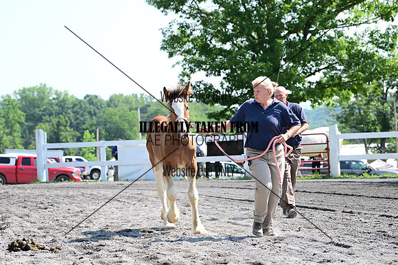 AJB_0092