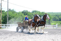 AJB_0687