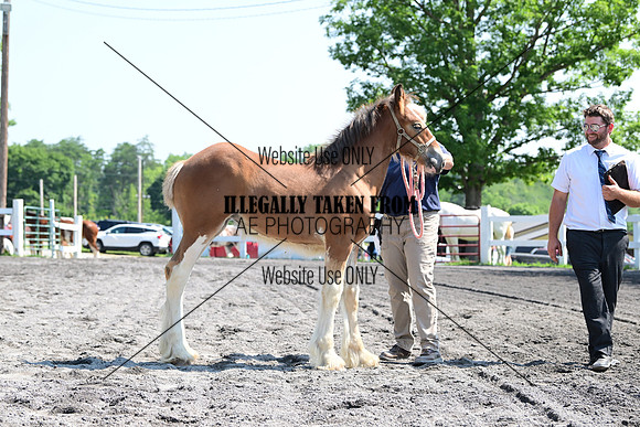 AJB_0095