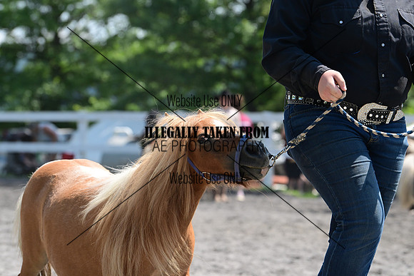 AJB_0240
