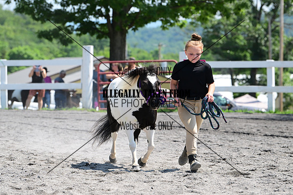 AJB_0242