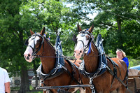 AJB_0693