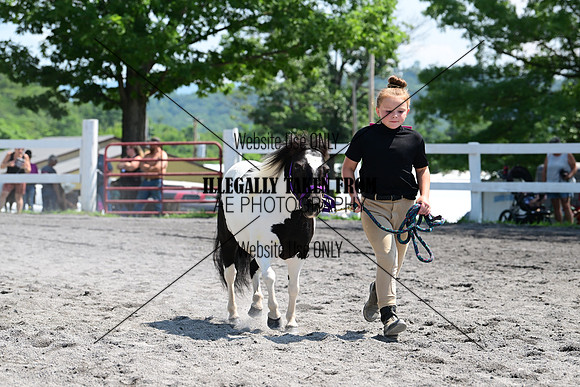 AJB_0243