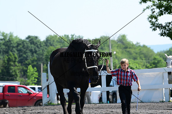AJB_0062