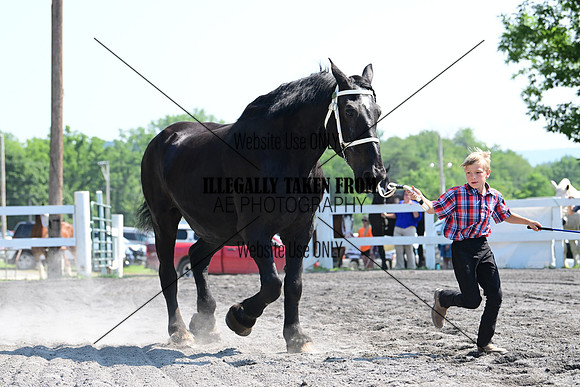 AJB_0067