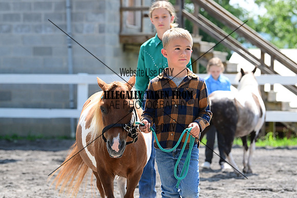 AJB_0251