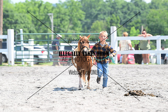AJB_0252