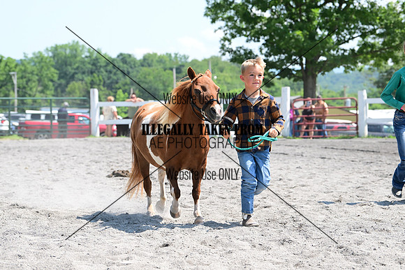 AJB_0254