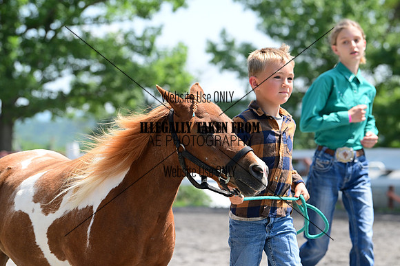 AJB_0255