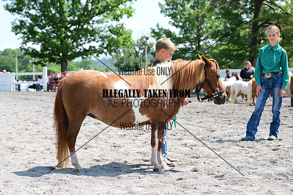 AJB_0256