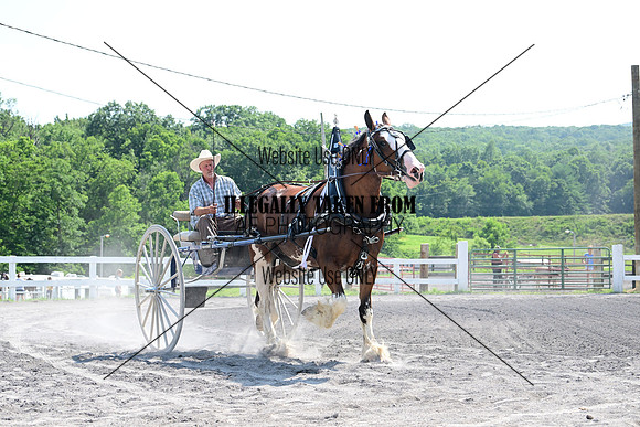 AJB_0756