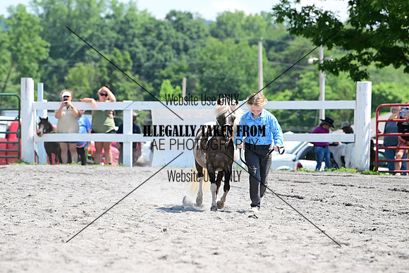 AJB_0258