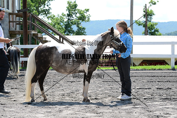 AJB_0263