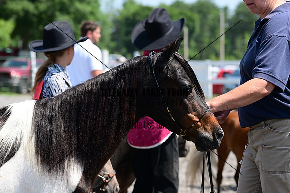 AJB_0264