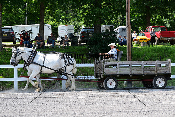 AJB_0697