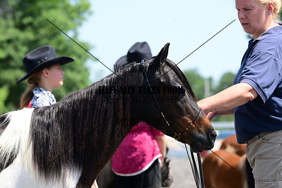 AJB_0265