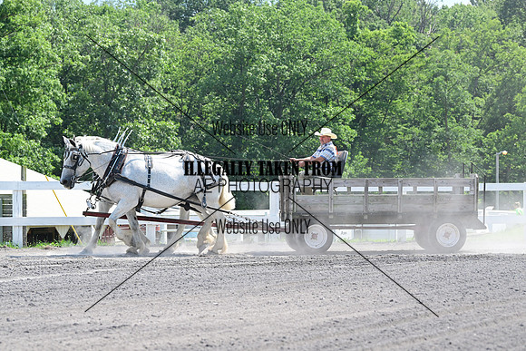 AJB_0698