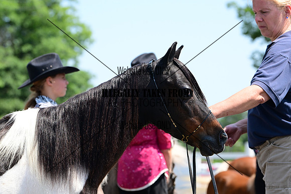 AJB_0266
