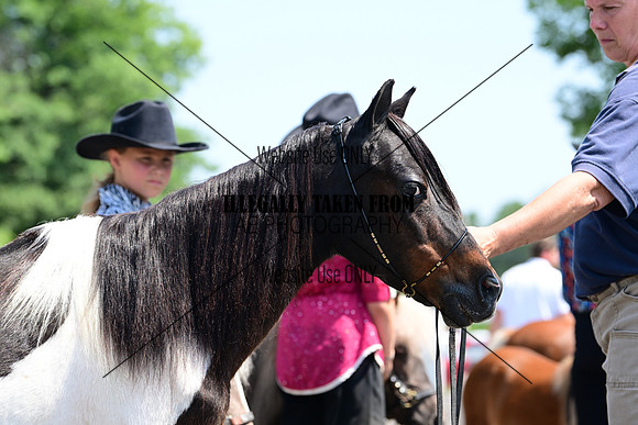 AJB_0267