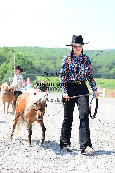 AJB_0270