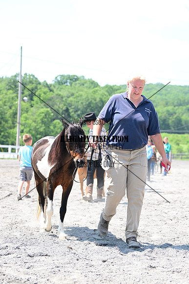 AJB_0272