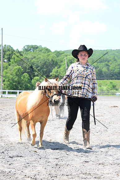 AJB_0274