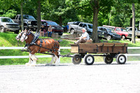 AJB_0660