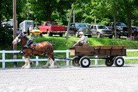 AJB_0661