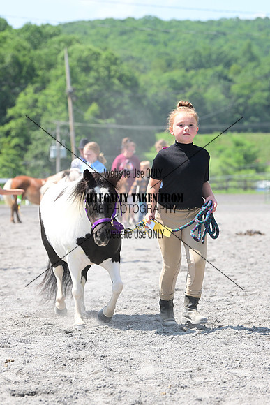 AJB_0276