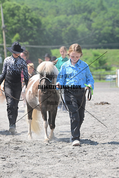 AJB_0278