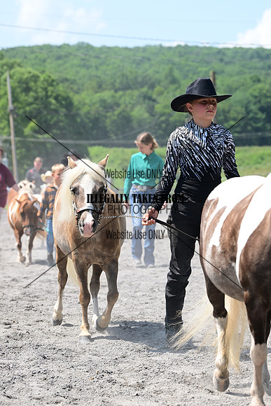 AJB_0279
