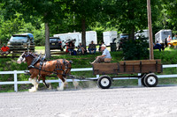 AJB_0662
