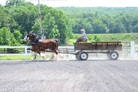 AJB_0663