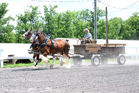 AJB_0665