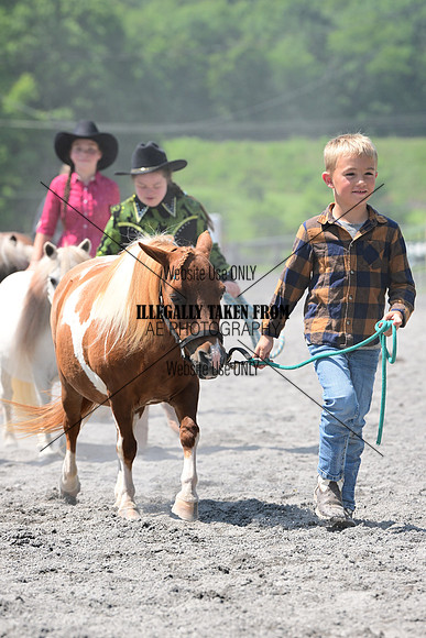AJB_0281