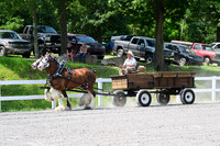 AJB_0666