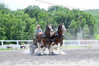 AJB_0668