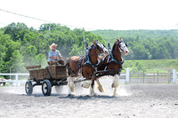 AJB_0669