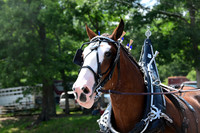 AJB_0672