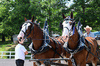 AJB_0674